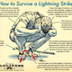 Illustration for article titled How to Survive Getting Struck by Lightning